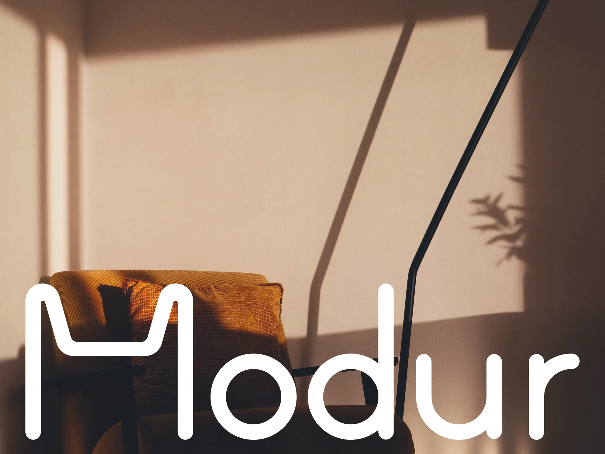 Modur